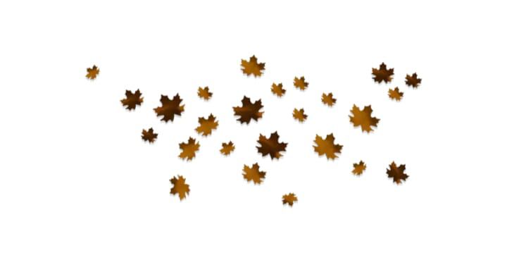 assets/images/products/MAPLE LEAVES.jpeg